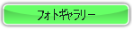 フォトギャラリー.